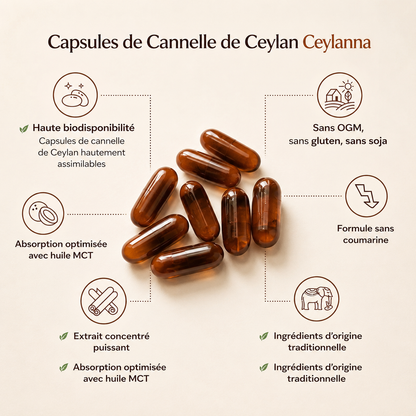 Cannelle de Ceylan Concentrée 7200 mg