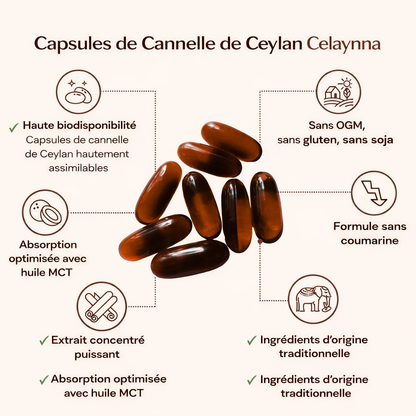 Cannelle de Ceylan Concentrée 7200 mg