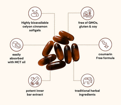 Cannelle de Ceylan Concentrée 7200 mg